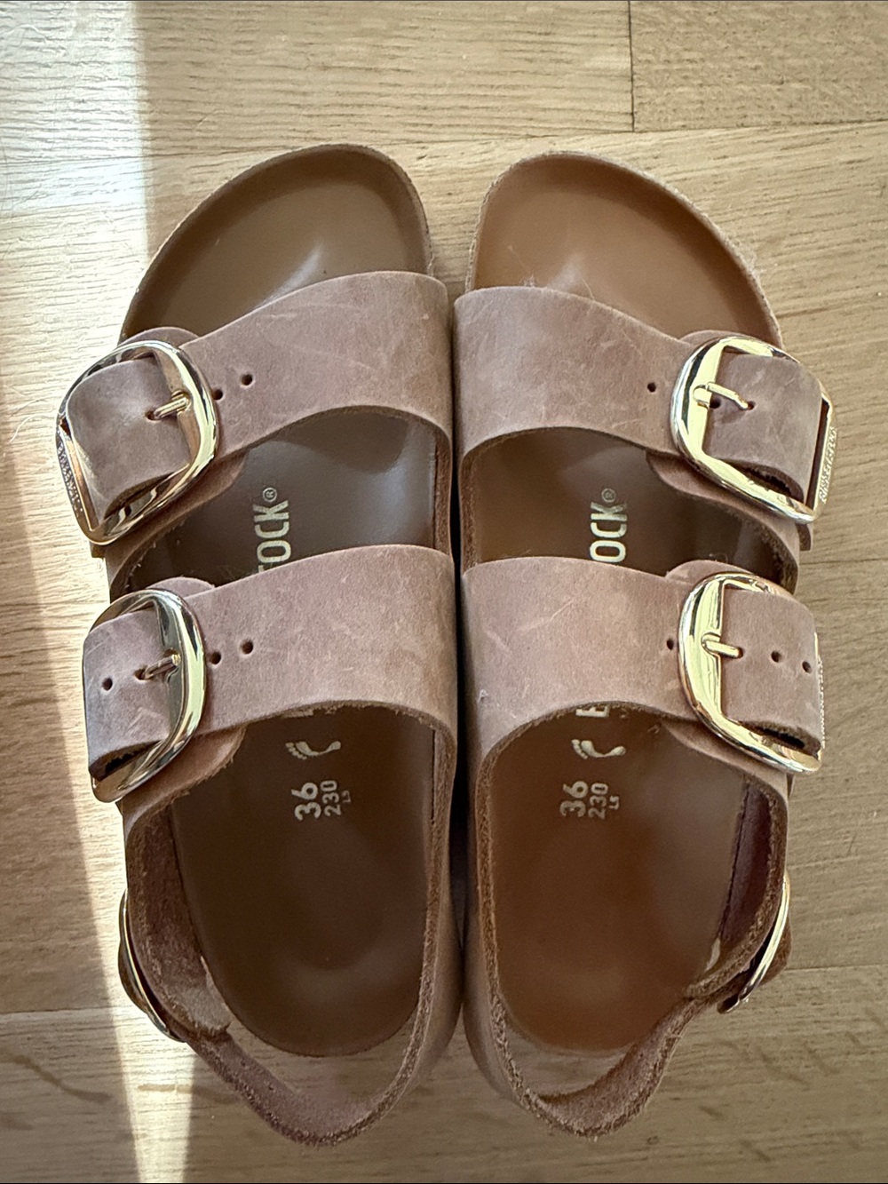Birkenstock Milano Big Buckle in Cognac NEW